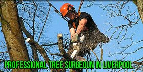 Professional Tree Surgeons