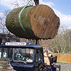 Thumbnail linking to clearing a storm damaged Beech gallery